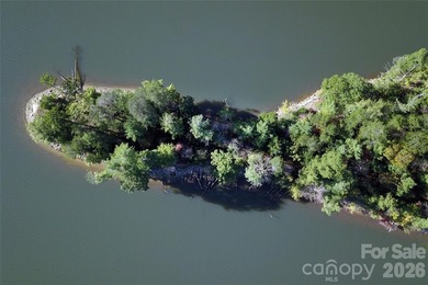 One of the most unique and valuable homesites in Old Wildlife - photo 8