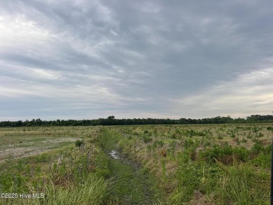 Rare opportunity for Farmland in Eastern NC with approximately - photo 11