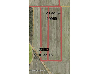 Rare opportunity for Farmland in Eastern NC with approximately - photo 17