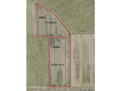 Rare opportunity for Farmland in Eastern NC with approximately - photo 22