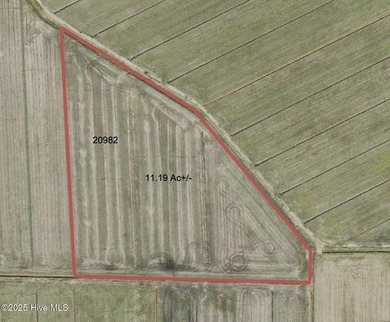 Rare opportunity for Farmland in Eastern NC with approximately - photo 23