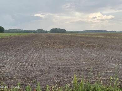 Rare opportunity for Farmland in Eastern NC with approximately - photo 29