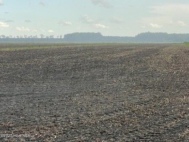 Rare opportunity for Farmland in Eastern NC with approximately - photo 30