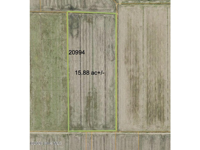 Rare opportunity for Farmland in Eastern NC with approximately - photo 36
