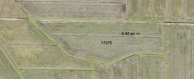 Rare opportunity for Farmland in Eastern NC with approximately - photo 46