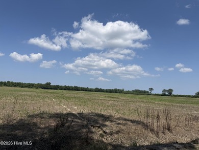 Rare opportunity for Farmland in Eastern NC with approximately - photo 50