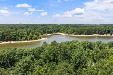 Discover the perfect place to build your dream lake home on - photo 4