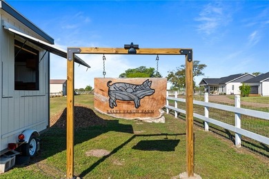 Welcome to The Salty Peach Farm, a rare turnkey homestead - photo 3