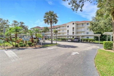 Lake Condo For Sale in Naples, Florida