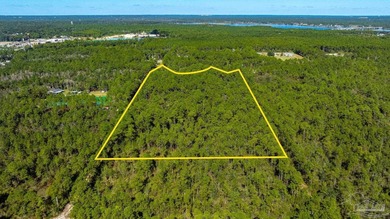 Blackwater River Acreage For Sale in Milton Florida