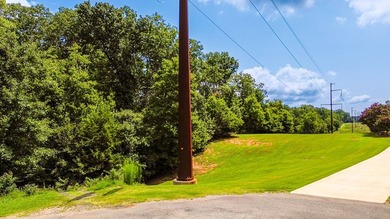 Check out this lake lot in the desirable Conifer Cove - photo 4