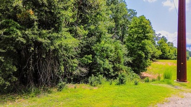 Check out this lake lot in the desirable Conifer Cove - photo 6
