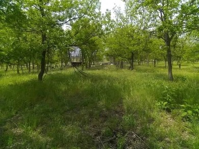 Proctor Lake Acreage For Sale in Comanche Texas
