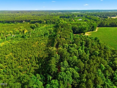 Live off the grid!! Very Private and secluded 6.478 acres over - photo 6