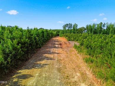 Live off the grid!! Very Private and secluded 6.478 acres over - photo 7