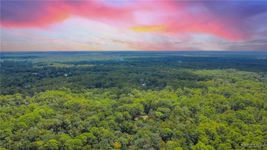 This beautiful 0.72-acre wooded property offers the perfect - photo 11