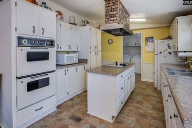 Some Lake Murray properties have water. This one has a view - photo 17