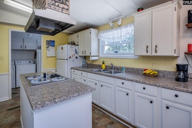 Some Lake Murray properties have water. This one has a view - photo 18