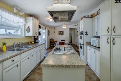 Some Lake Murray properties have water. This one has a view - photo 19