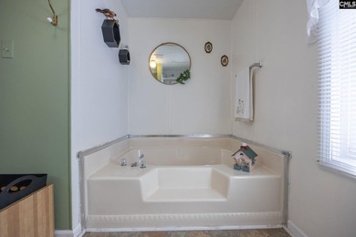 Some Lake Murray properties have water. This one has a view - photo 27