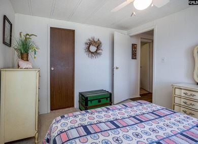 Some Lake Murray properties have water. This one has a view - photo 30