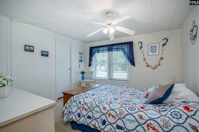 Some Lake Murray properties have water. This one has a view - photo 31