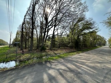 Beautiful homes and mature trees throughout Beachwood Estates - Lake Lot For Sale in Trinidad, Texas