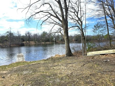 (private lake, pond, creek) Lot For Sale in Gaylord Michigan
