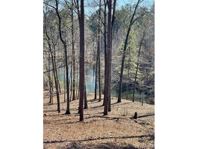 (private lake, pond, coastal) Lot For Sale in Tuscaloosa Alabama