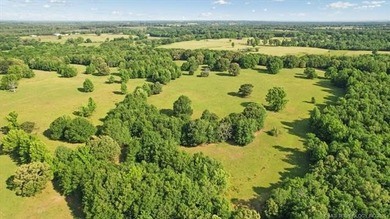 Charming, remodeled home on approximately 190 acres offering a - photo 46