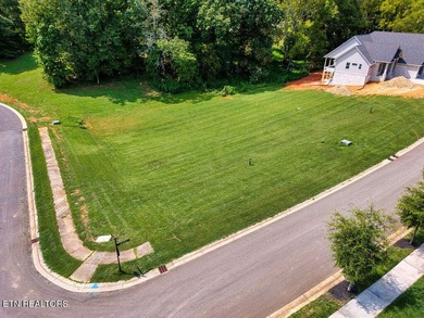 This beautiful corner lot in Tennessee National offers the - photo 7