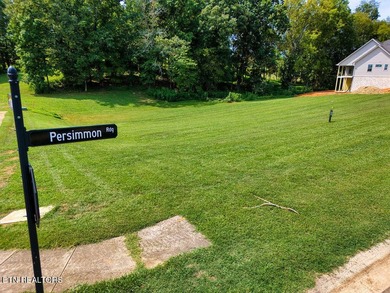 This beautiful corner lot in Tennessee National offers the - photo 8