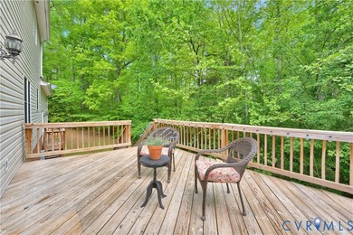 Significant price improvement! This home is now offered below - photo 41