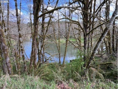 (private lake, pond, creek) Acreage For Sale in Birkenfeld Oregon