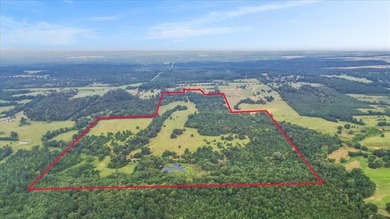 (private lake, pond, creek) Acreage For Sale in Big Sandy Texas