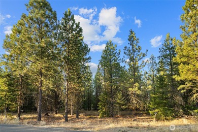 Experience the art of semi-custom mountain living in the private - photo 4