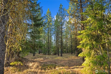 Experience the art of semi-custom mountain living in the private - photo 5