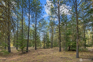 Experience the art of semi-custom mountain living in the private - photo 6