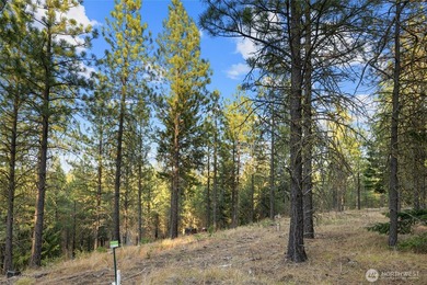 Experience the art of semi-custom mountain living in the private - photo 7