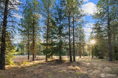 Experience the art of semi-custom mountain living in the private - photo 10