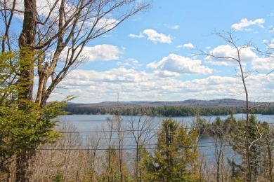 Old Forge Pond Acreage For Sale in Old Forge New York