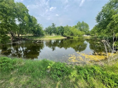 Lake Lot For Sale in Taylor, Texas
