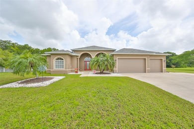 (private lake, pond, creek) Home For Sale in Parrish Florida