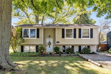 Lake Erie - Lake County Home For Sale in Madison Ohio