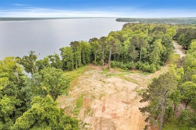 Main Lake Frontage One of the most striking features of this - photo 14