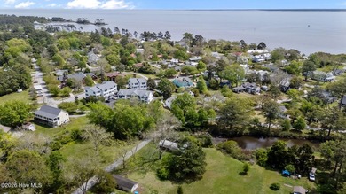 Homesite in the heart of the Village of Oriental, North - photo 15