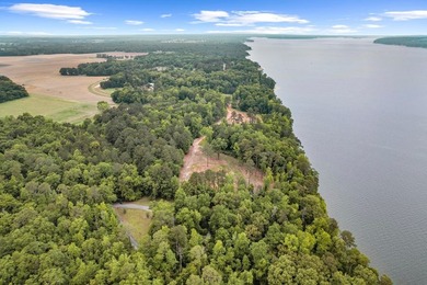 Main Lake Frontage One of the most striking features of this - photo 17