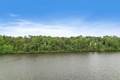 Main Lake Frontage One of the most striking features of this - photo 30