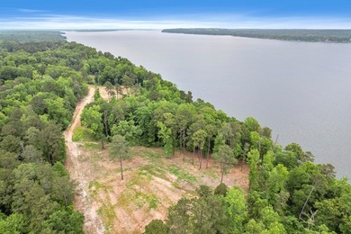 Main Lake Frontage One of the most striking features of this - photo 32