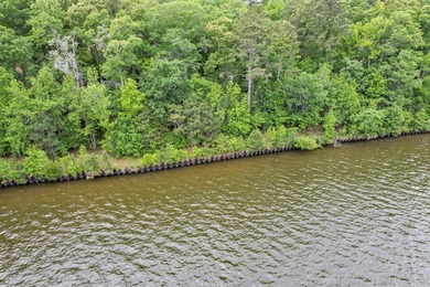 Main Lake Frontage One of the most striking features of this - photo 36